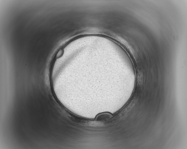 X0000100911464200807220940