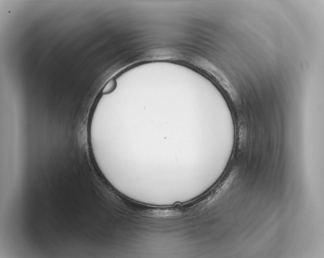 X0000100911465200807220940