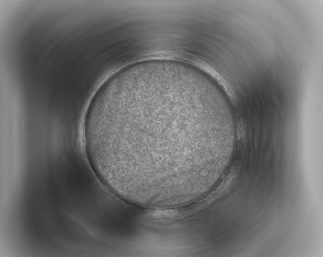 X0000100911466200807220940