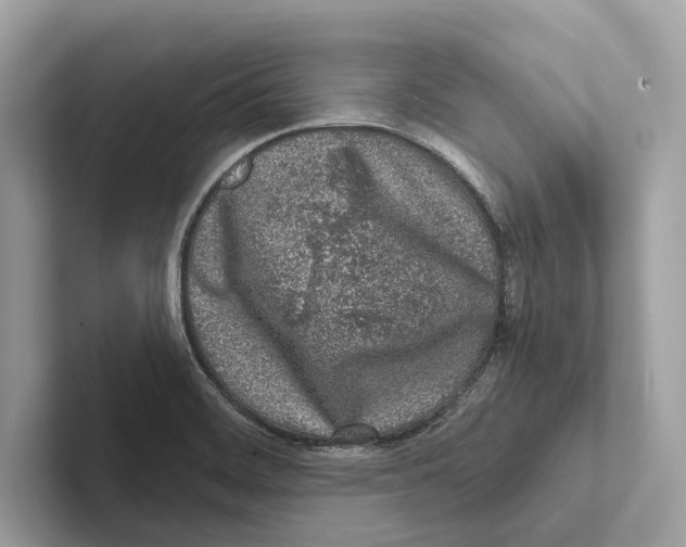 X0000100911468200807220940