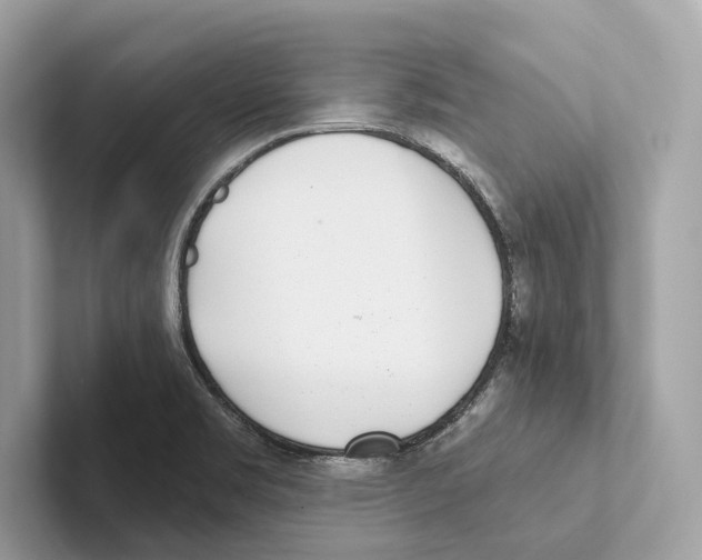 X0000100911469200807220940