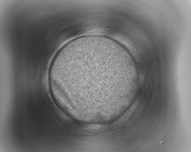 X0000100911470200807220940