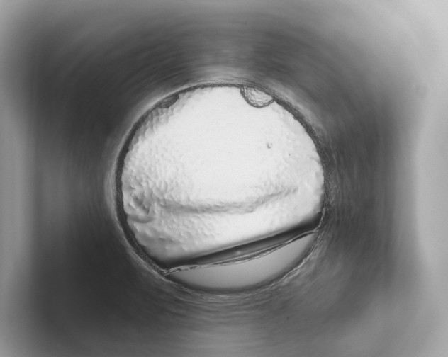 X0000100911471200807220940