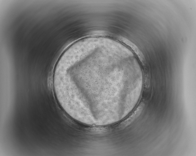 X0000100911473200807220940