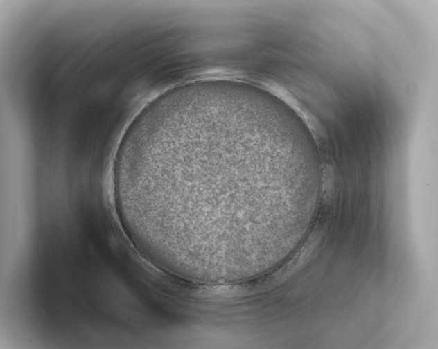 X0000100911474200807220940