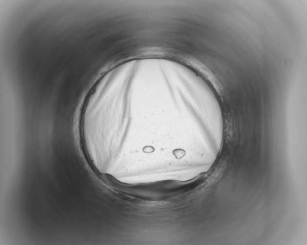 X0000100911475200807220940