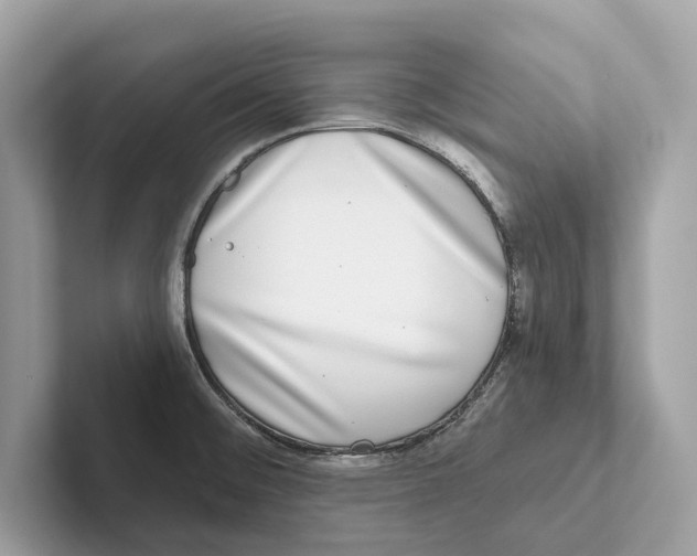 X0000100911476200807220940