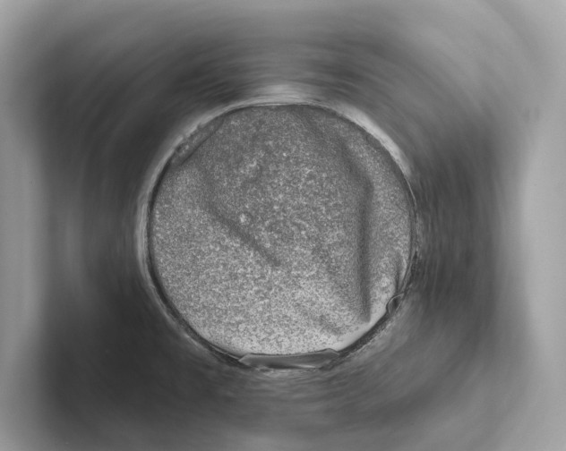 X0000100911477200807220940