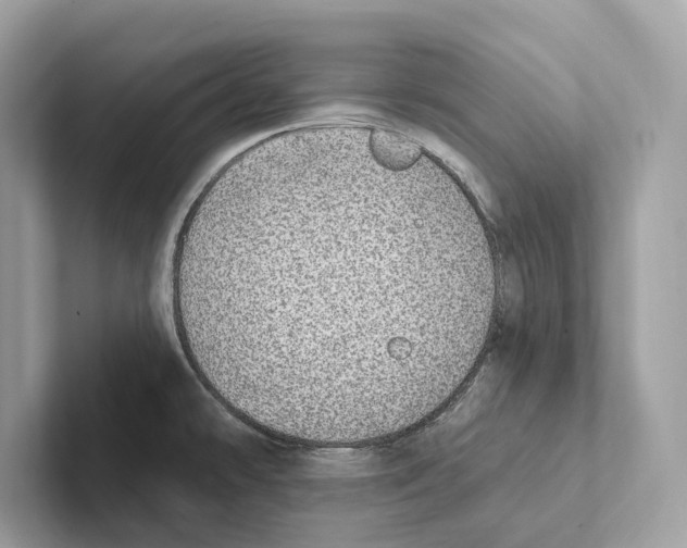 X0000100911478200807220940