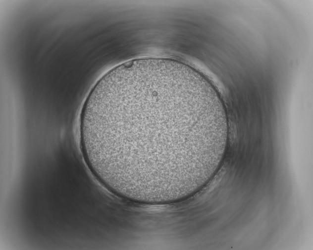 X0000100911479200807220940