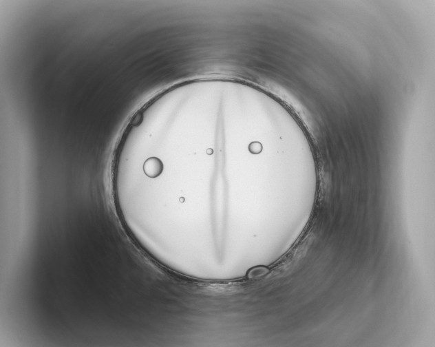 X0000100911480200807220940