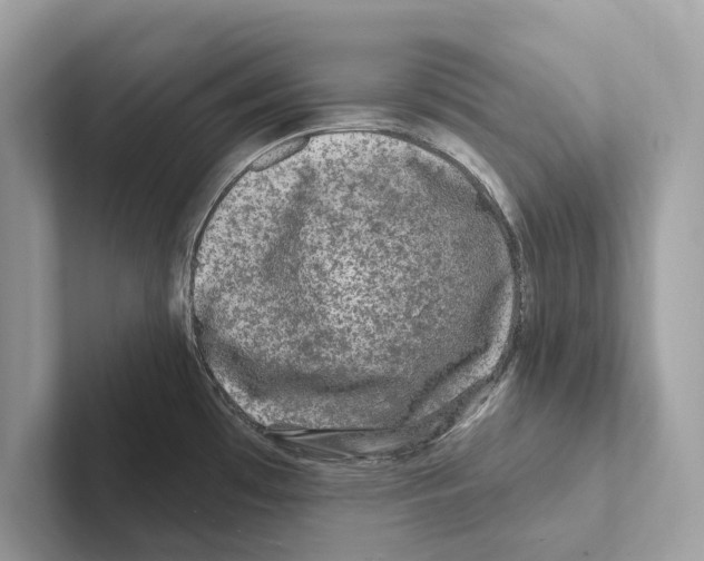 X0000100911481200807220940