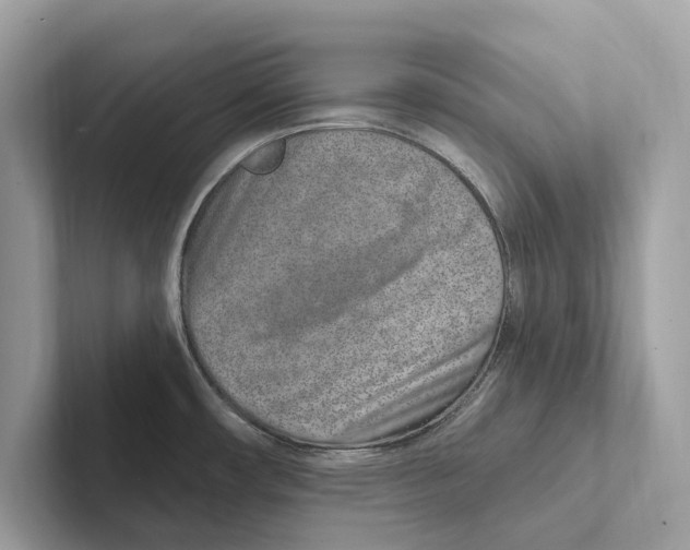 X0000100911482200807220940