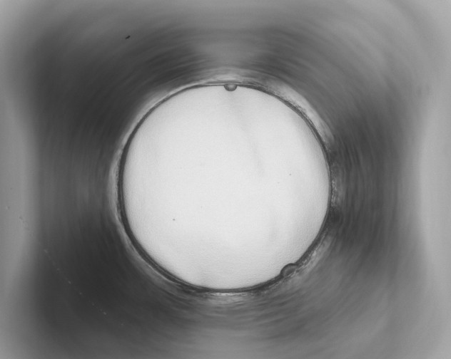 X0000100911483200807220940