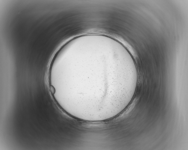 X0000100911486200807220940