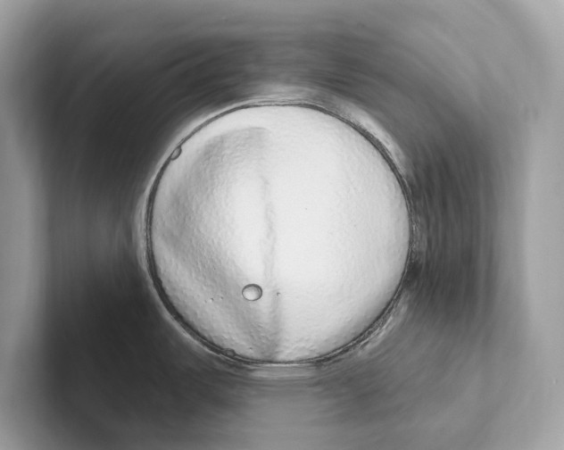 X0000100911487200807220940