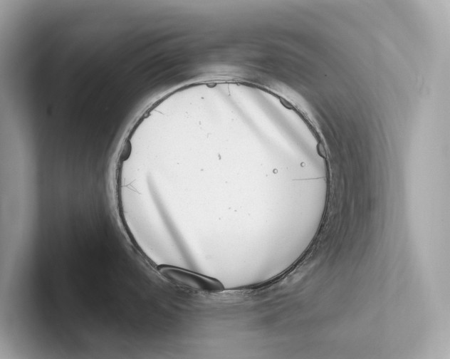 X0000100911488200807220940