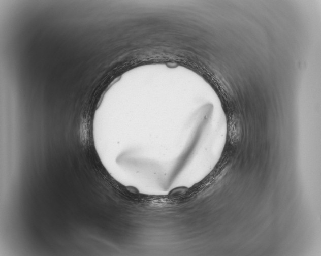 X0000100911490200807220939