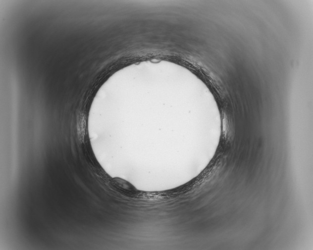 X0000100911492200807220939