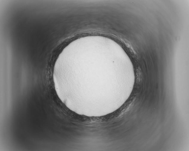 X0000100911494200807220939