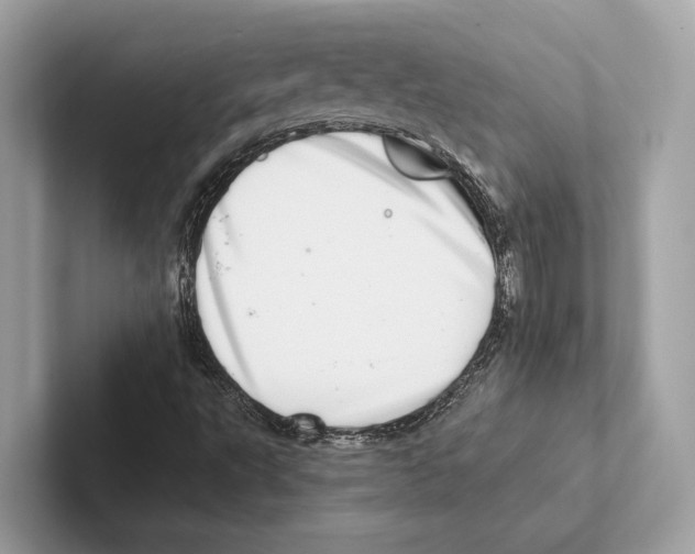 X0000100911495200807220939