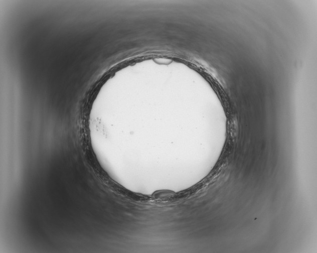 X0000100911496200807220939