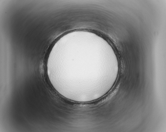 X0000100911497200807220939