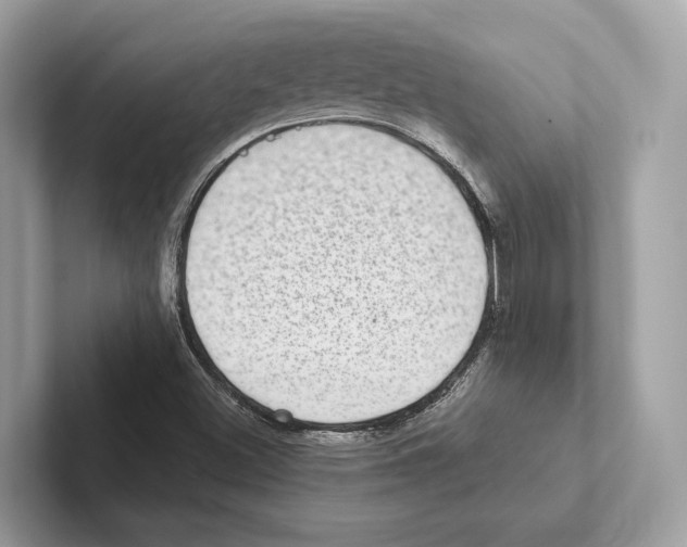 X0000100911500200807220940