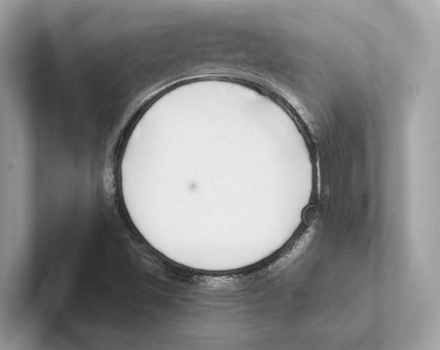 X0000100911501200807220940