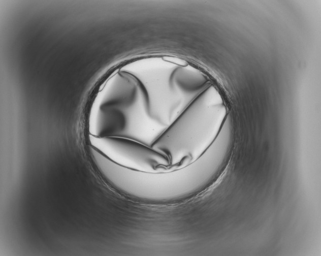 X0000100911502200807220940