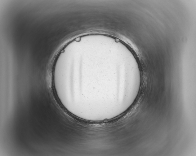 X0000100911504200807220940