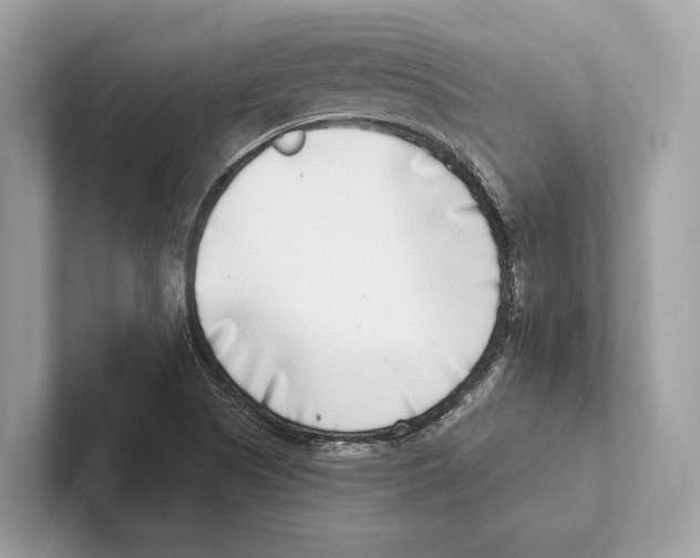 X0000100911505200807220940