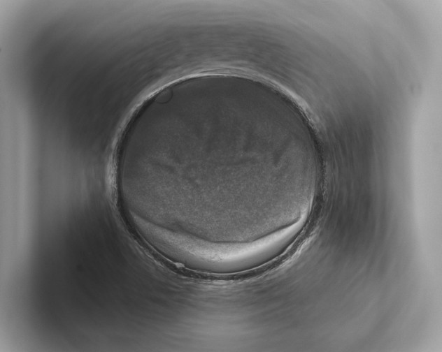 X0000100911506200807220940