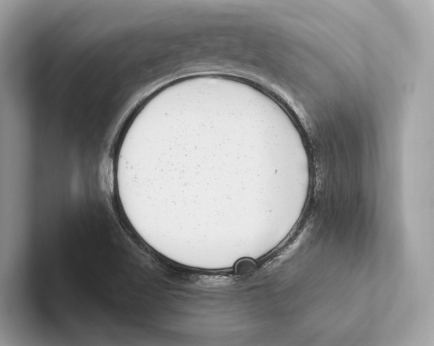 X0000100911509200807220940