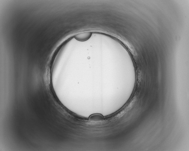 X0000100911510200807220940