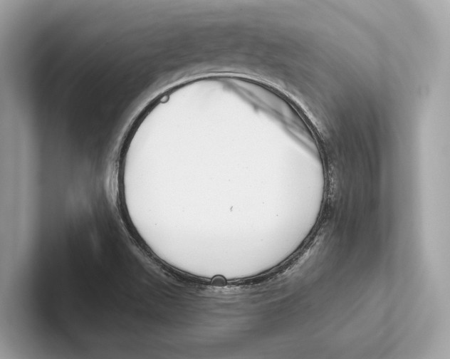 X0000100911511200807220940