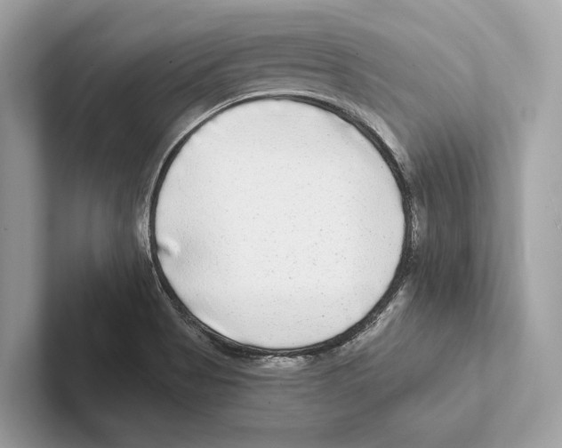 X0000100911513200807220940