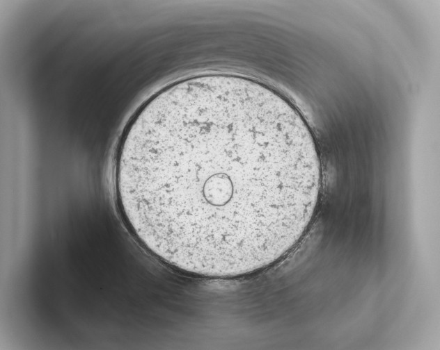 X0000100911514200807220940