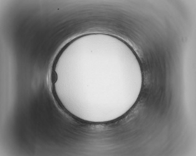 X0000100911515200807220940