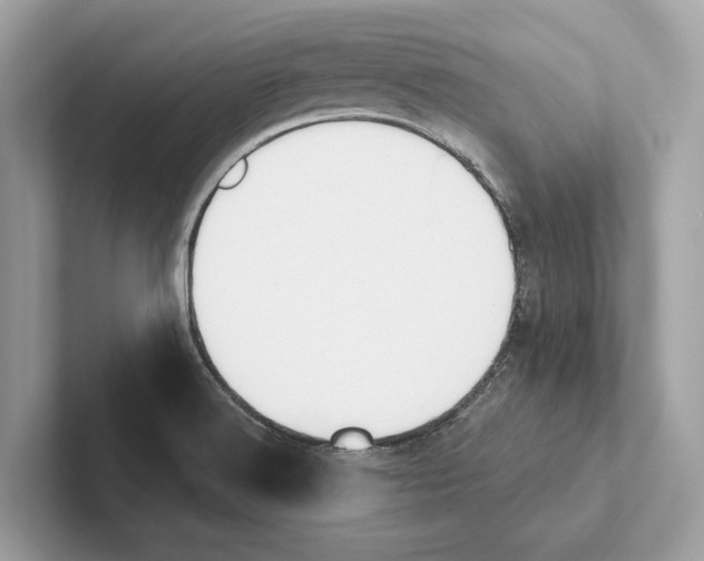 X0000100911516200807220940