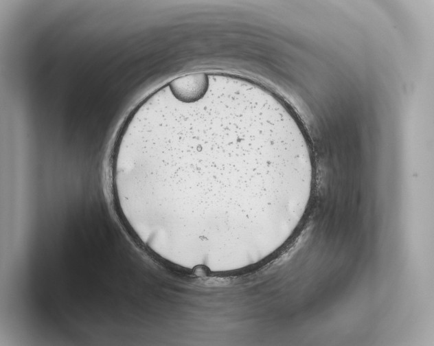 X0000100911517200807220940