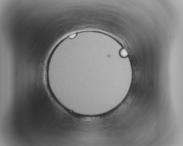 X0000100911518200807220940