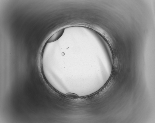 X0000100911520200807220940