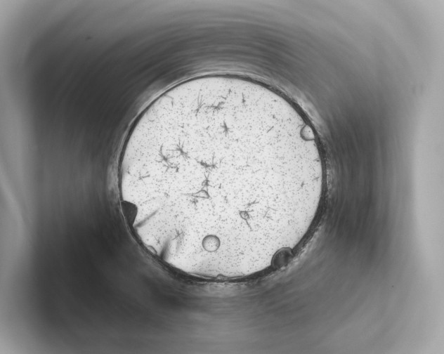 X0000100911521200807220940