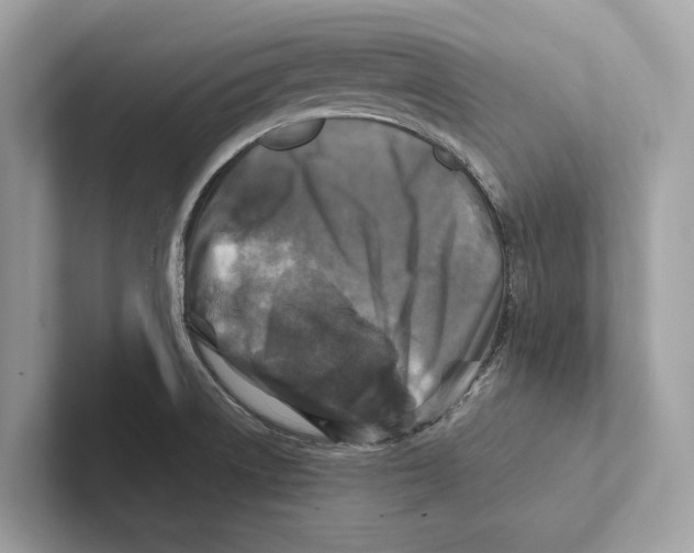 X0000100911522200807220940