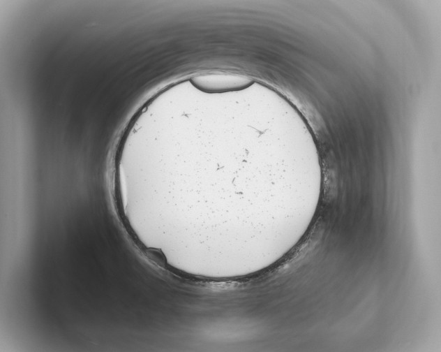 X0000100911523200807220940