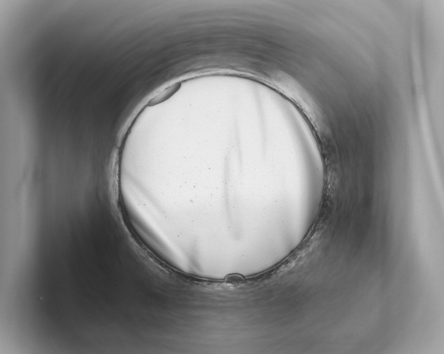 X0000100911524200807220940