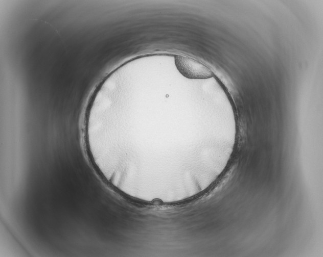 X0000100911525200807220940