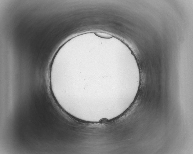 X0000100911526200807220940