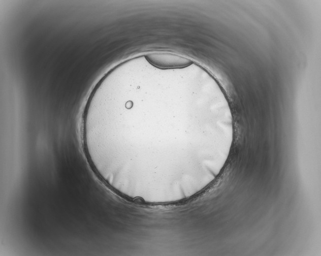 X0000100911527200807220940